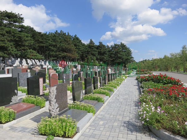 008PG国际(中国区)-官方网站