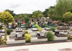 上；；；；懔靶腔鹎