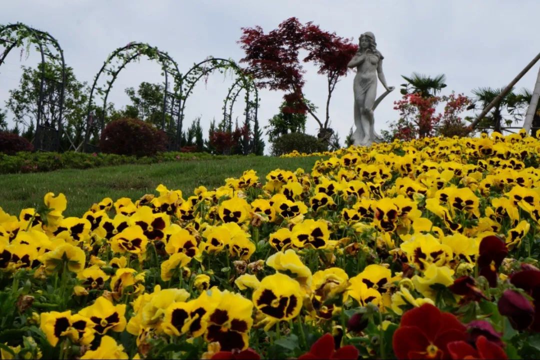 008PG国际(中国区)-官方网站