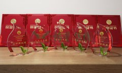 “008PG国际杯”浙江省节地生态埋葬设计作品奖