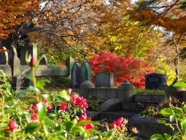 008PG国际(中国区)-官方网站