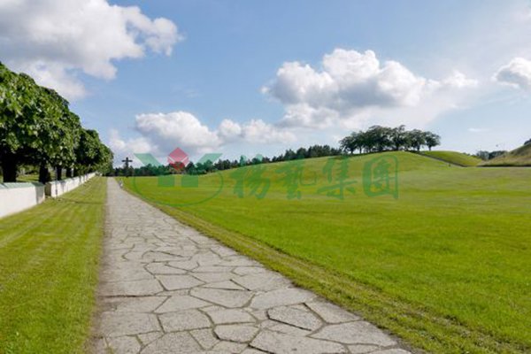 008PG国际(中国区)-官方网站