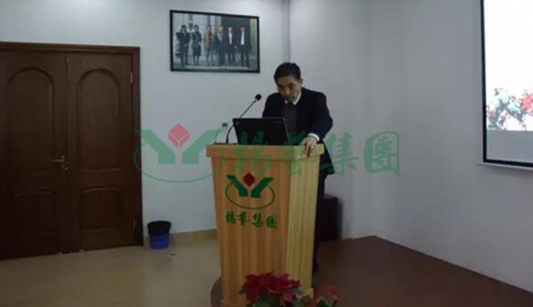 008PG国际(中国区)-官方网站