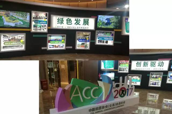 008PG国际(中国区)-官方网站