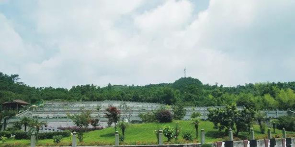 008PG国际(中国区)-官方网站