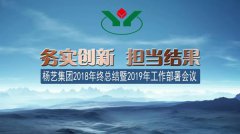 008PG国际集团2018年总结暨2019年岁情安排聚会召开