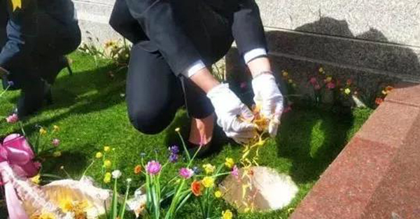 008PG国际(中国区)-官方网站