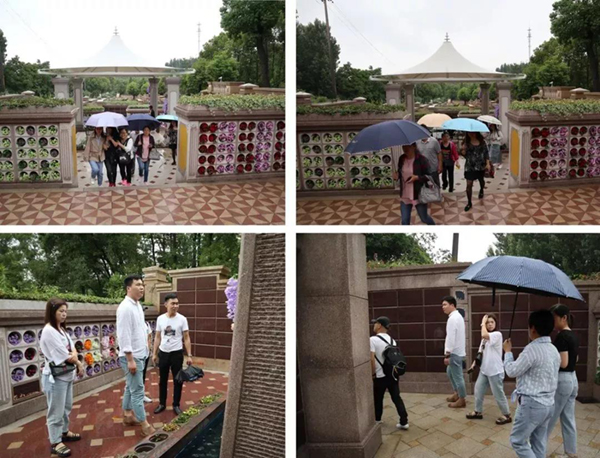 008PG国际(中国区)-官方网站