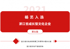 008PG国际入选 “浙江省生长型文化企业”