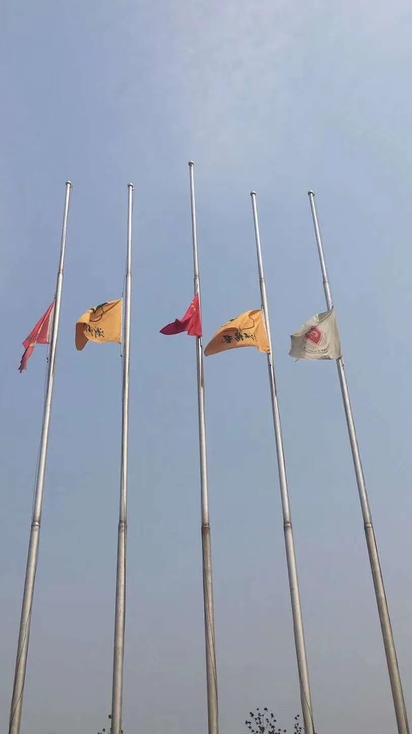 008PG国际(中国区)-官方网站