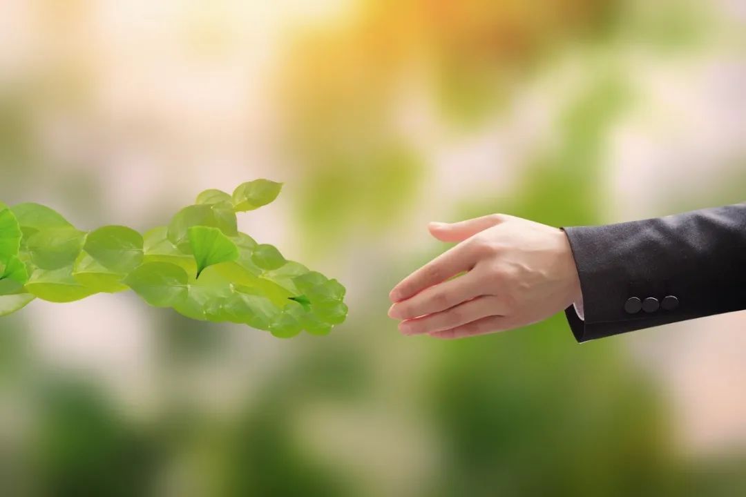 008PG国际(中国区)-官方网站