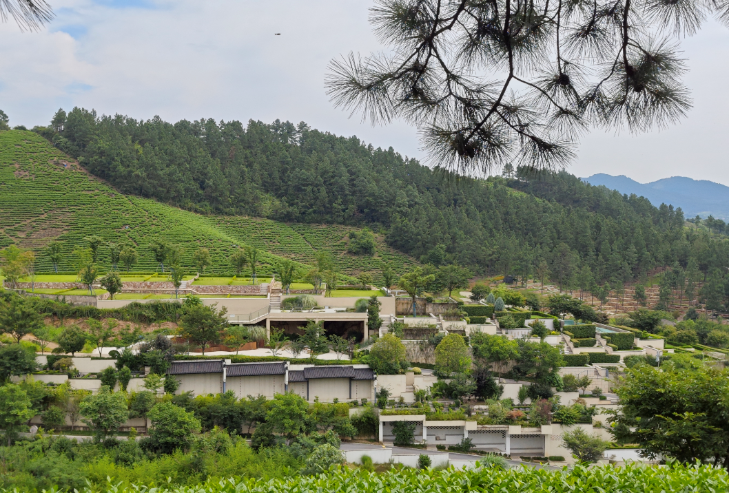 008PG国际(中国区)-官方网站