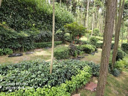 008PG国际(中国区)-官方网站