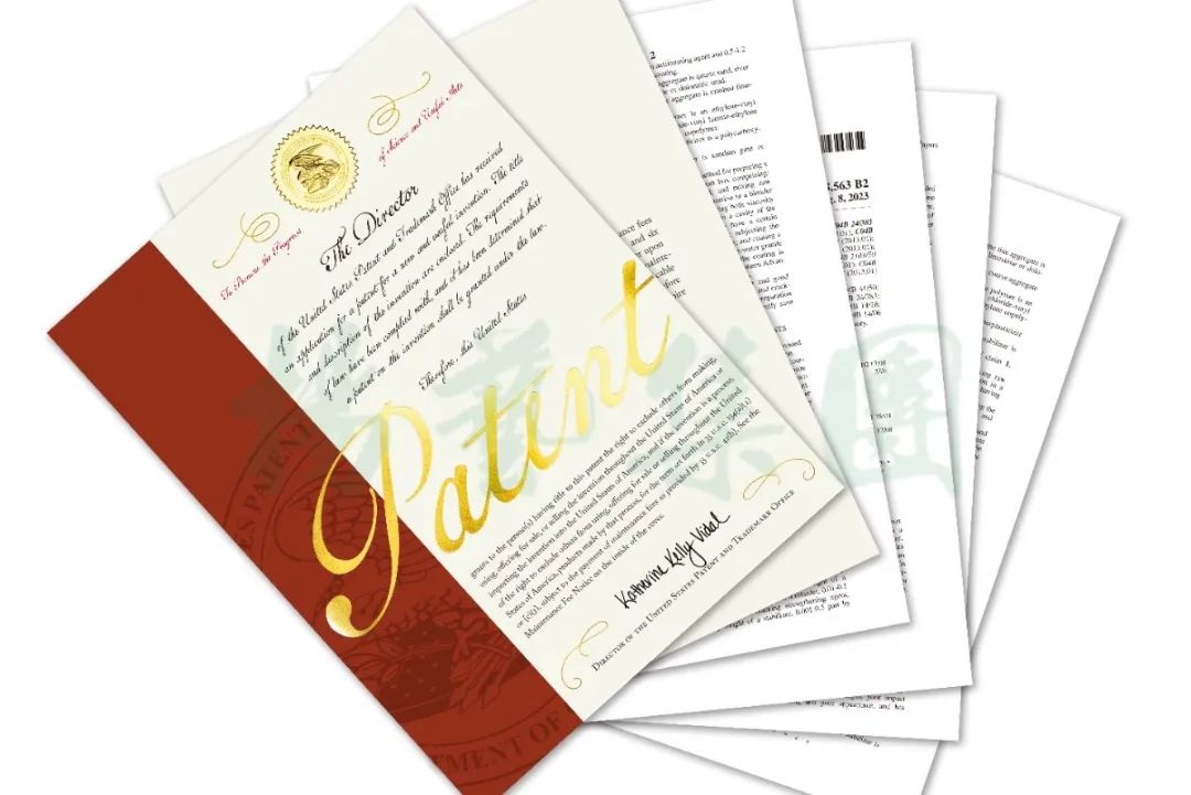 008PG国际(中国区)-官方网站