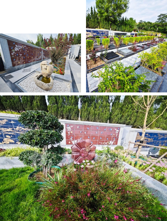 008PG国际(中国区)-官方网站