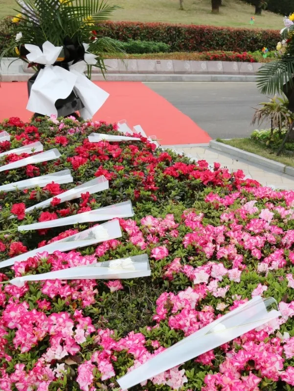 008PG国际(中国区)-官方网站