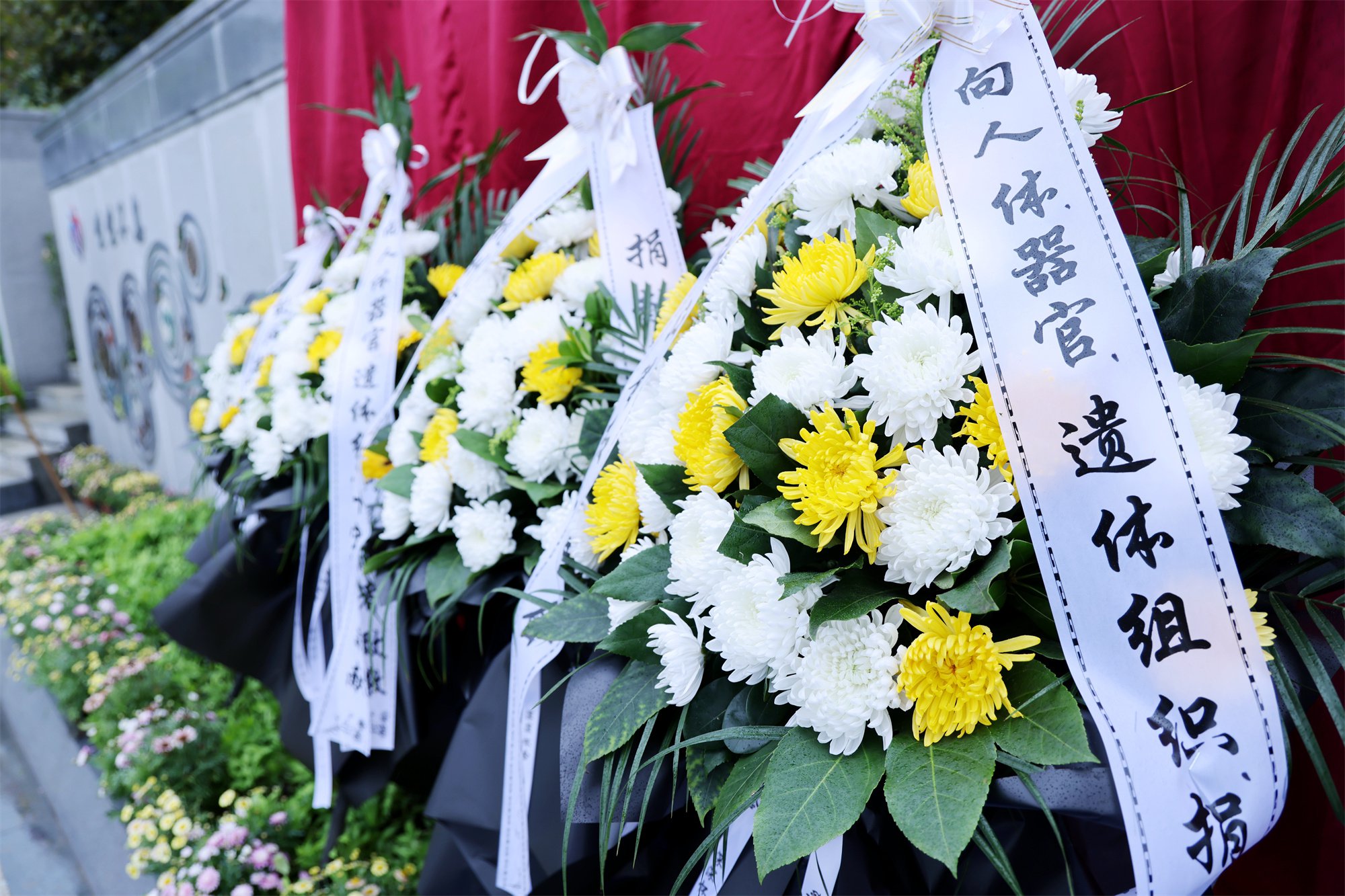 008PG国际(中国区)-官方网站