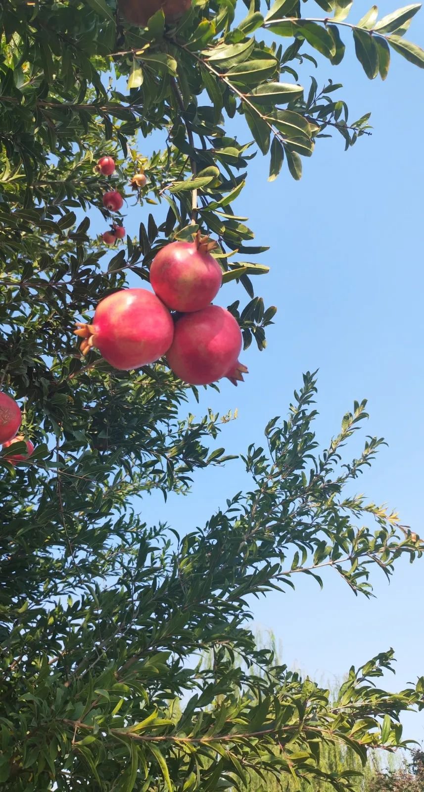 008PG国际(中国区)-官方网站