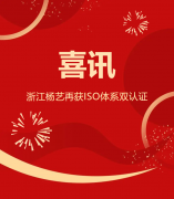 喜讯 | 浙江008PG国际再获ISO系统双认证