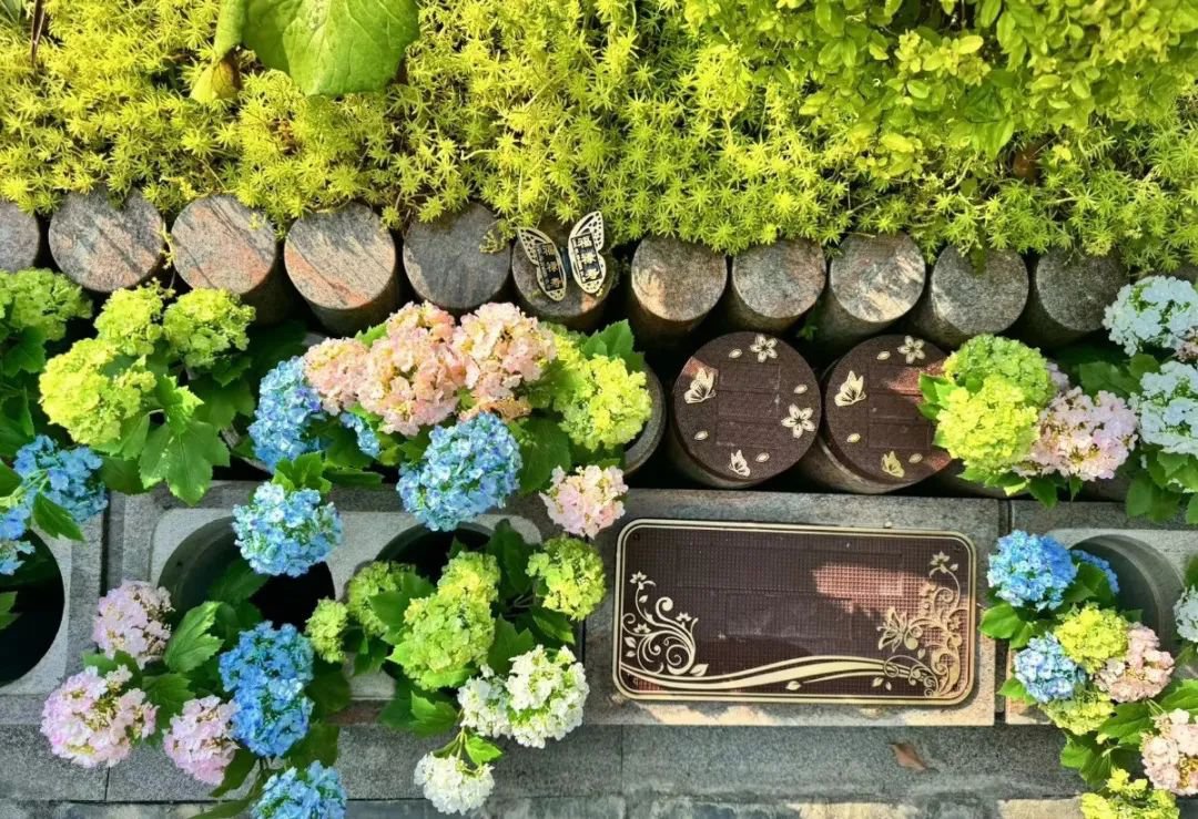 008PG国际(中国区)-官方网站