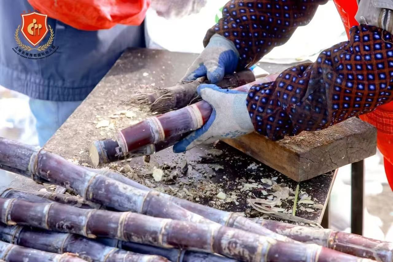 008PG国际(中国区)-官方网站