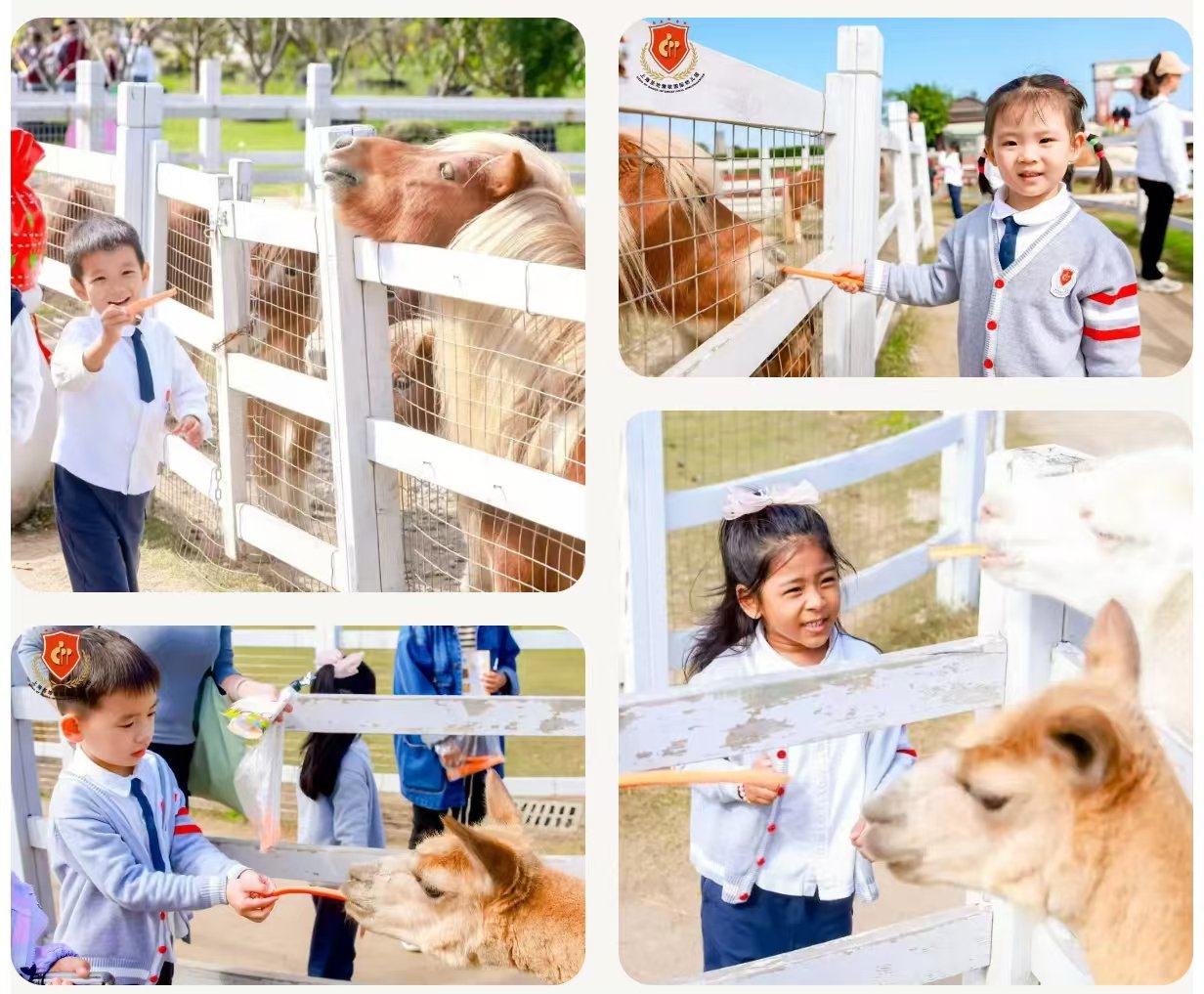 008PG国际(中国区)-官方网站