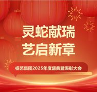 灵蛇献瑞 艺启新章 | 008PG国际集团2025年度盛典暨表扬大会