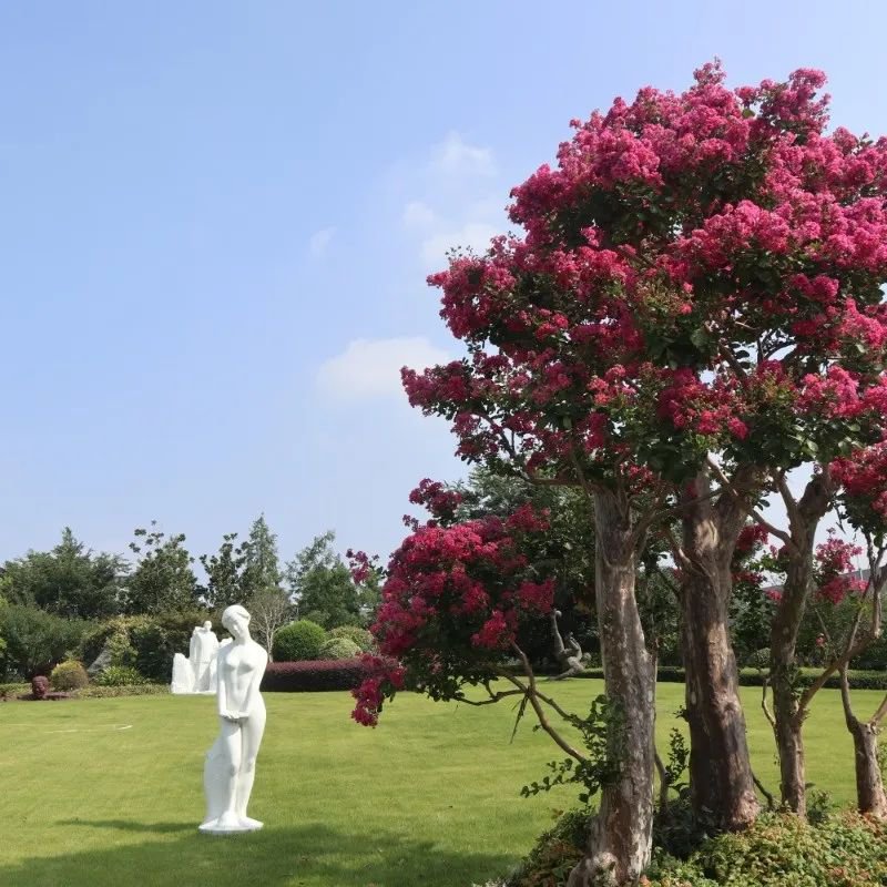 008PG国际(中国区)-官方网站