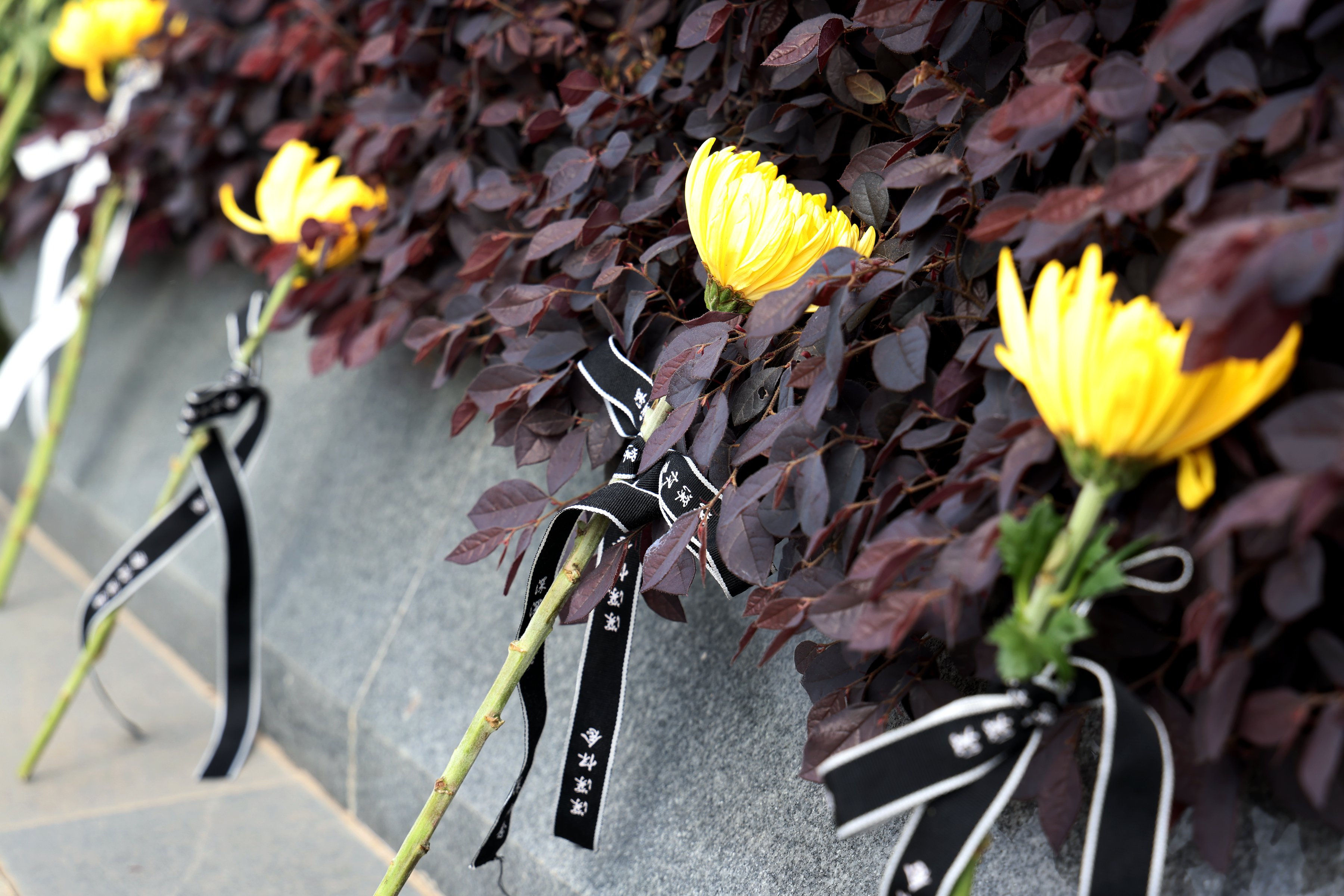 008PG国际(中国区)-官方网站