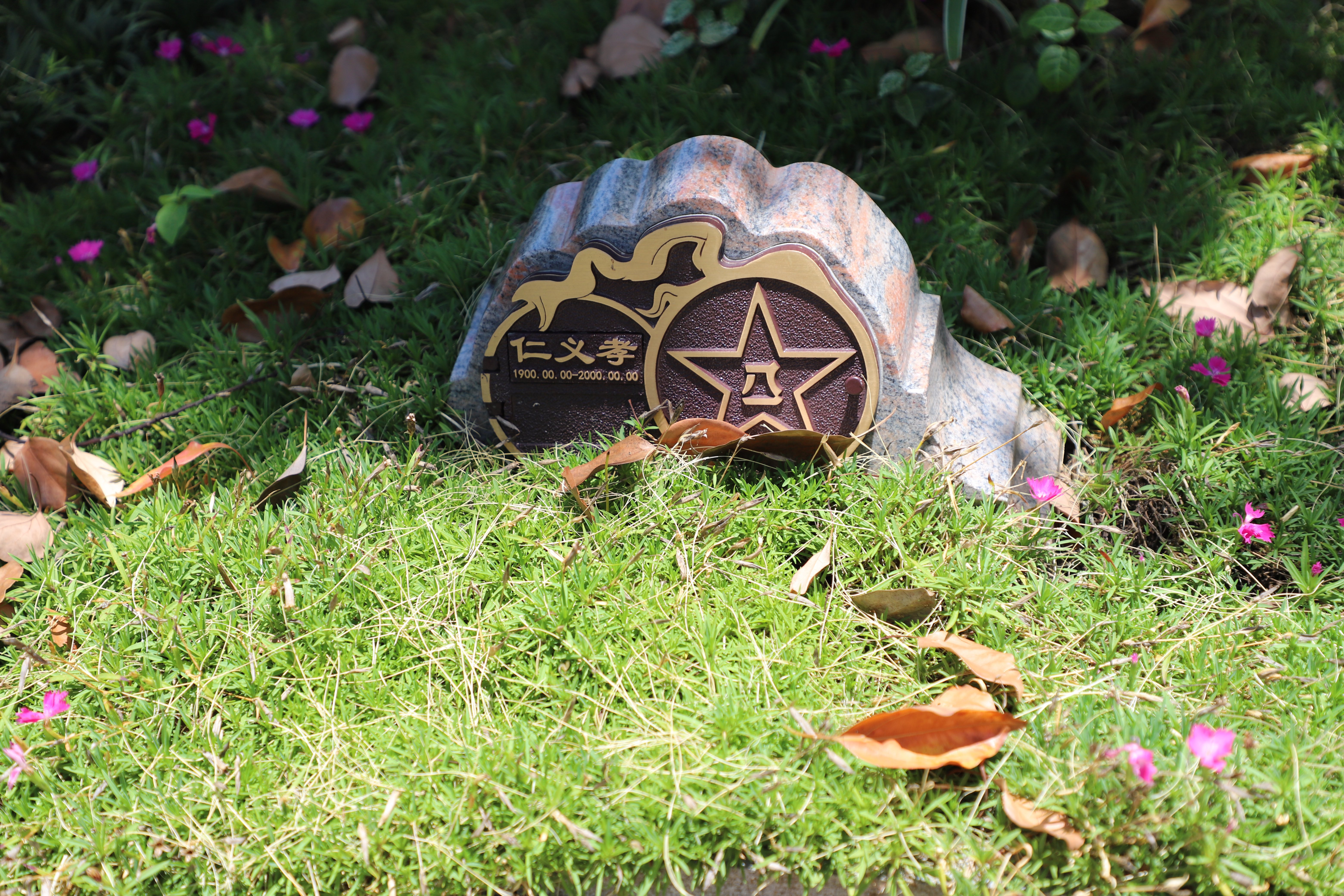 008PG国际(中国区)-官方网站