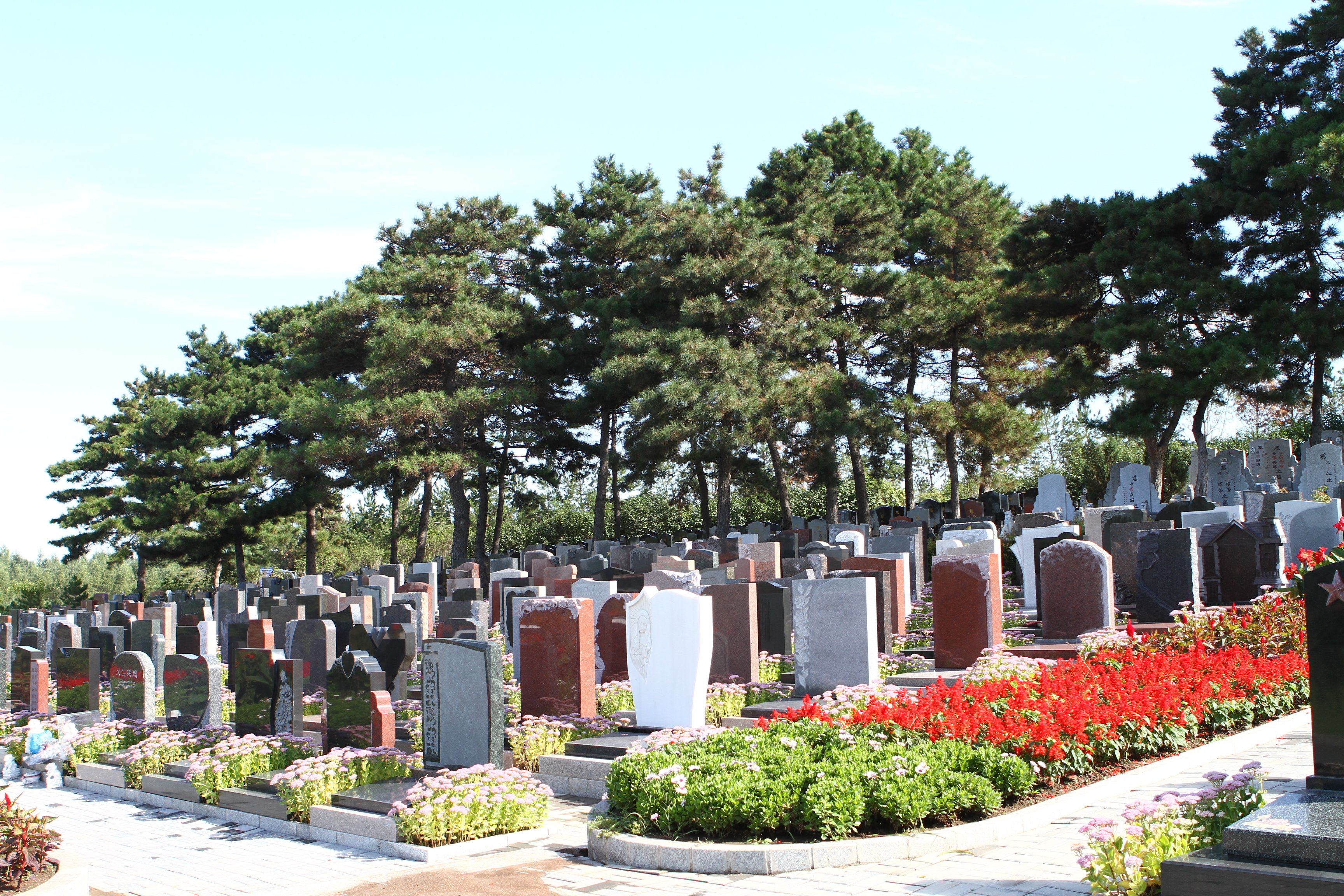 008PG国际(中国区)-官方网站