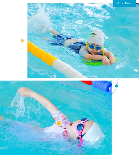 008PG国际(中国区)-官方网站