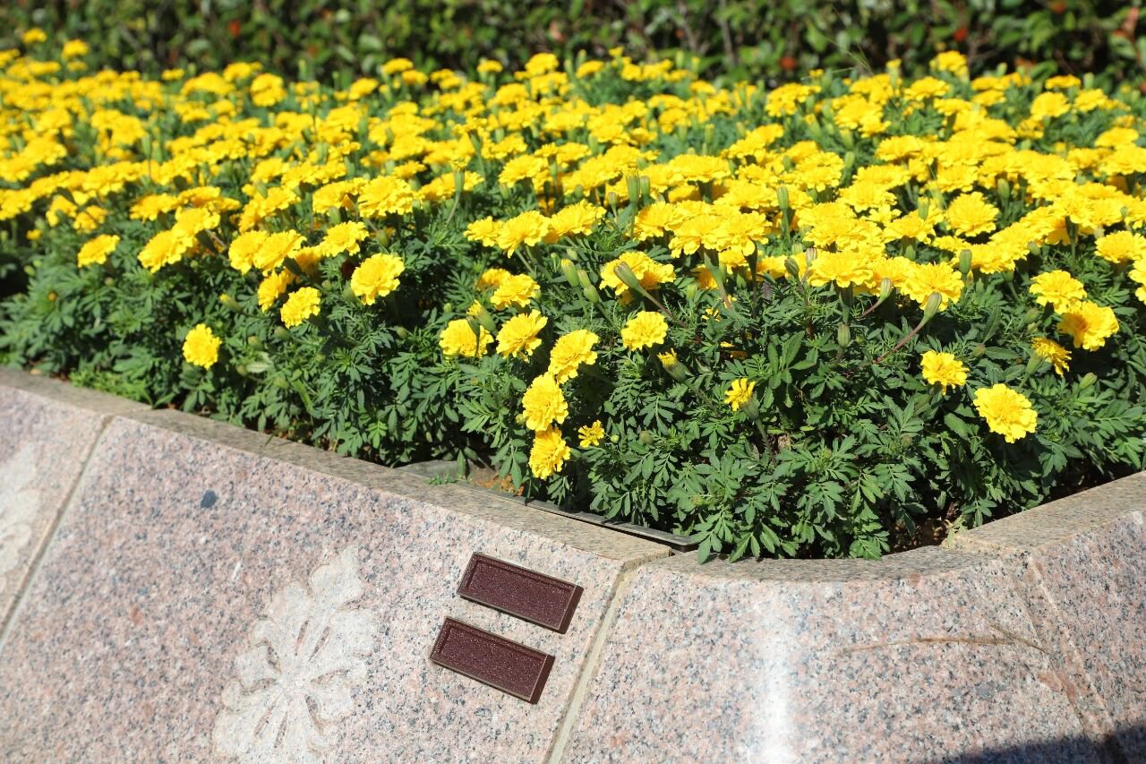 008PG国际(中国区)-官方网站