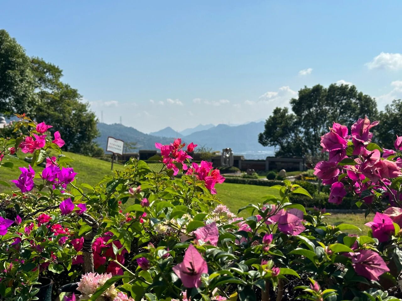 008PG国际(中国区)-官方网站