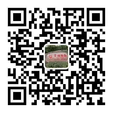 008PG国际(中国区)-官方网站