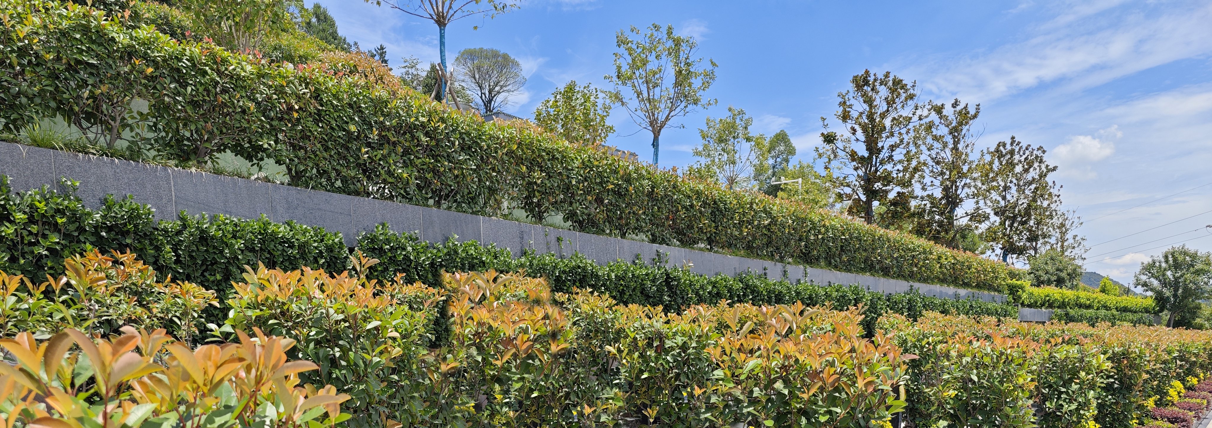 008PG国际(中国区)-官方网站