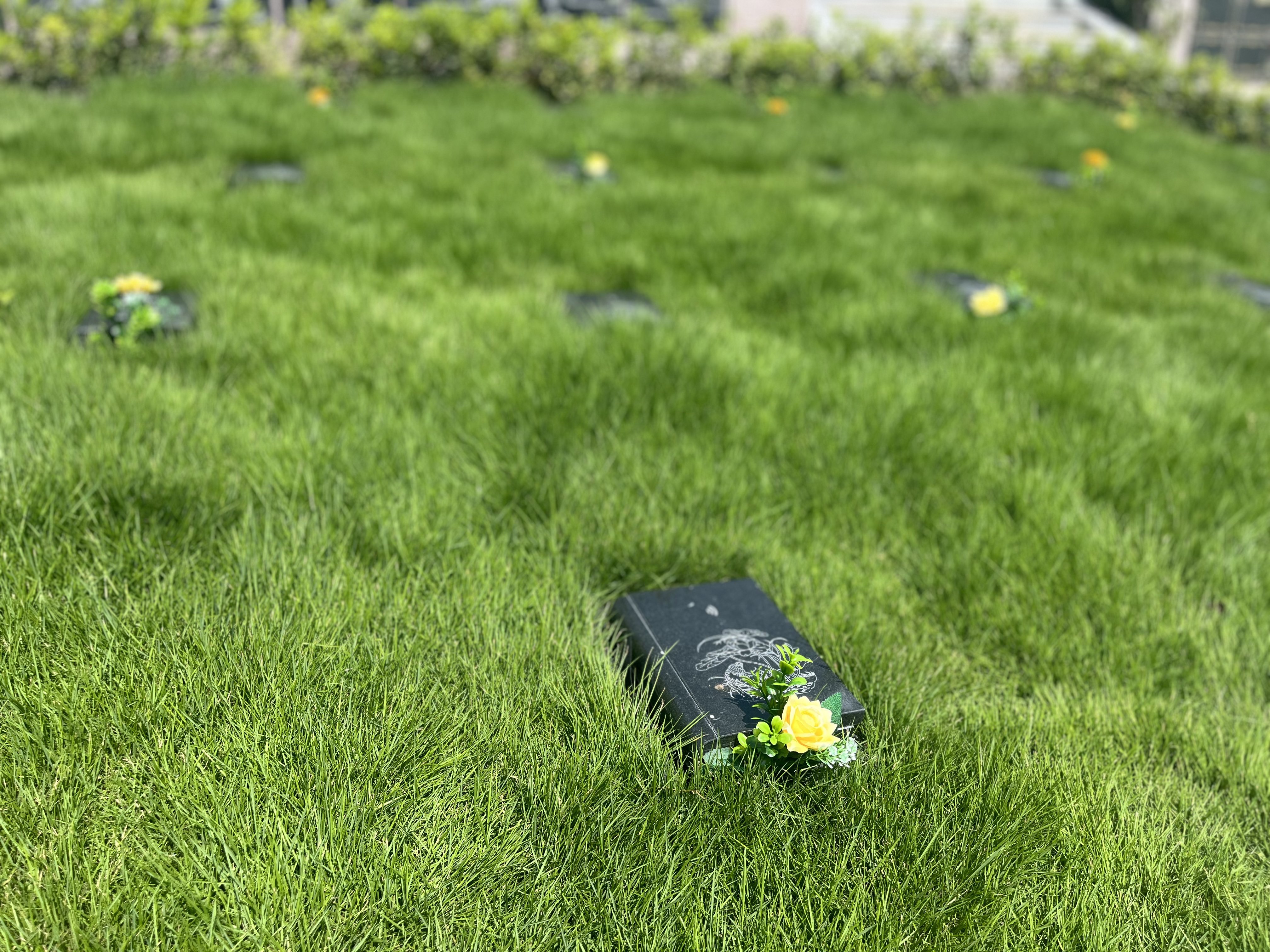 008PG国际(中国区)-官方网站