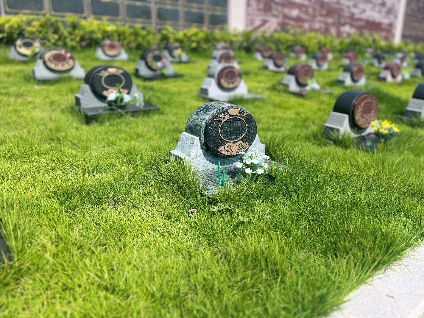 008PG国际(中国区)-官方网站